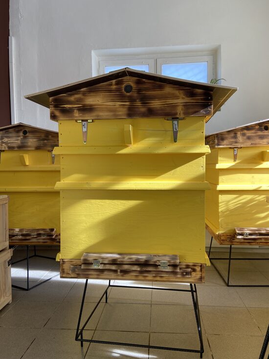 Latvijas stāvstrops ar atlokāmu divslīpu jumtu